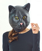 Blackjack the Cat